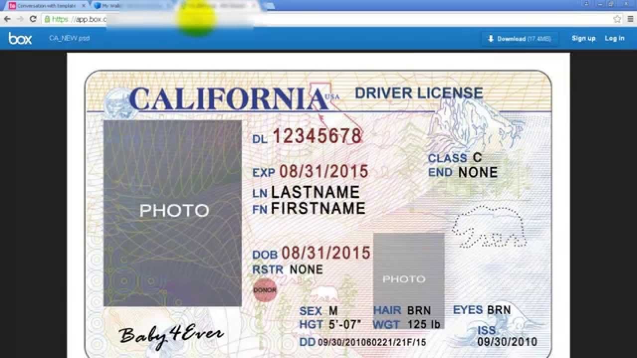 Texas Drivers License Template Free Download digitalgig